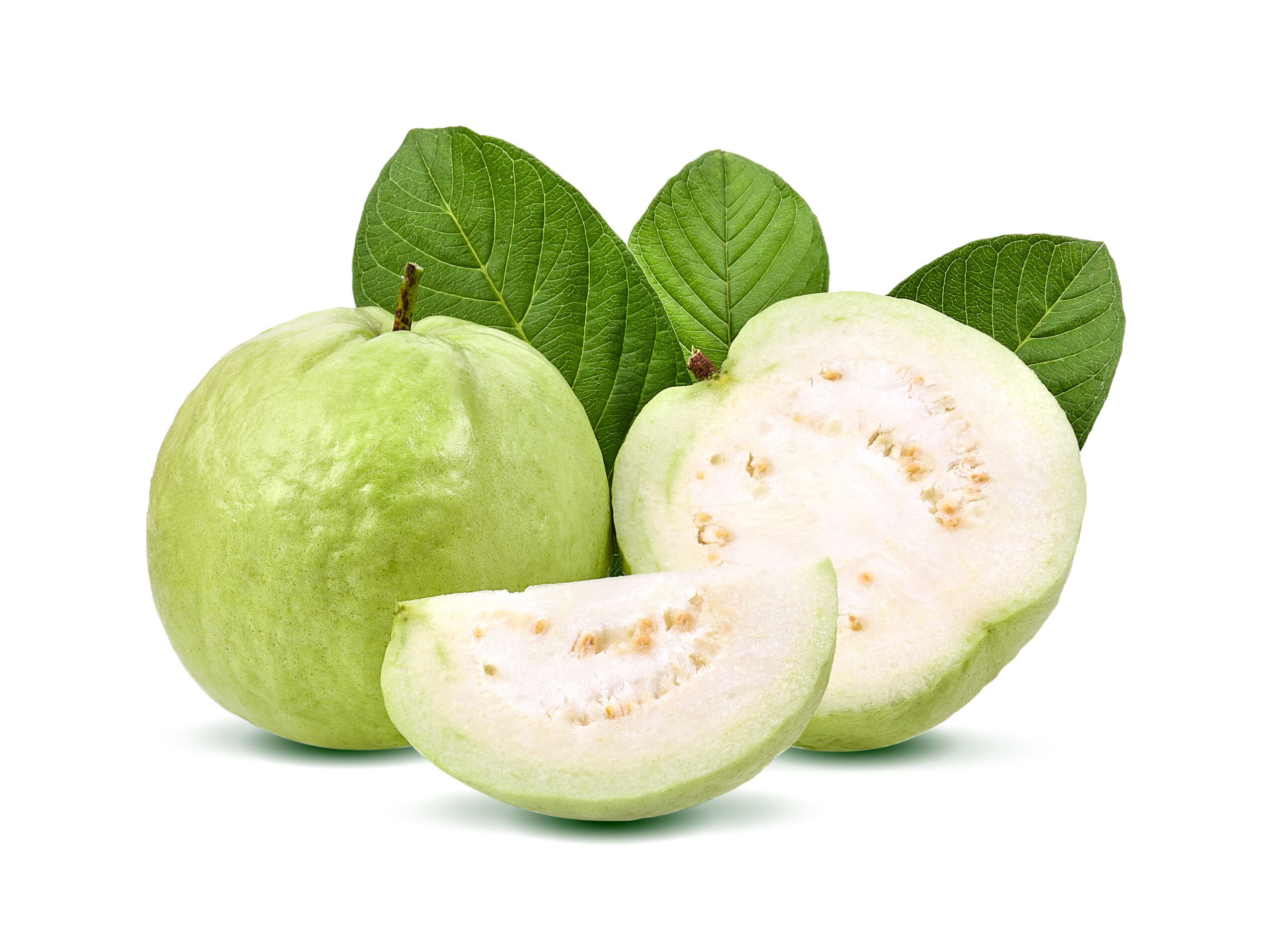 Guava scaled