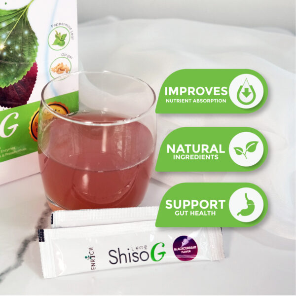 New Arrival Product Thumbnail Shiso G 02 03