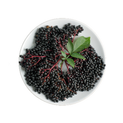 elderberry kiddy barrier