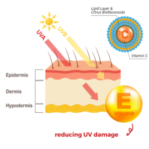 super C reduce uv damage