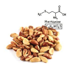 L methionine