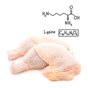 Lysine